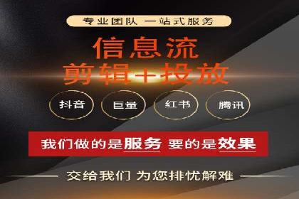 某公司通过竞价SEM优化搜索引擎排名案例